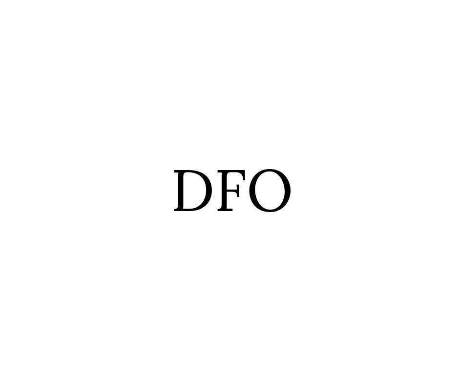 DFOとは-その意味とデータフィード広告、企業について-